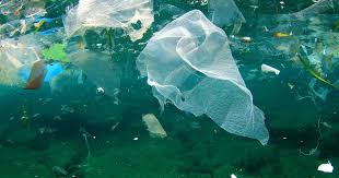 Plastic Pollution