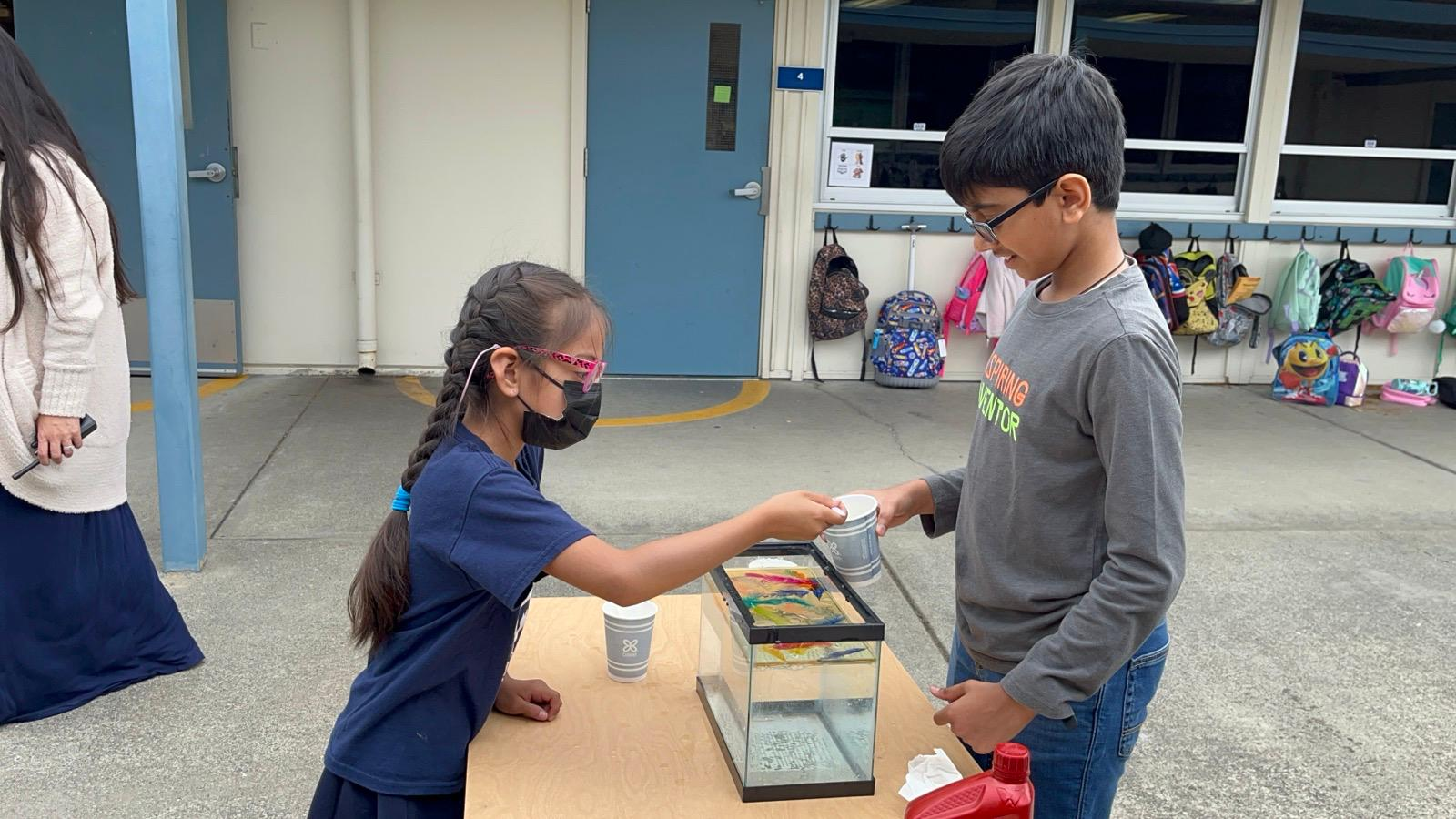 StepSTEM students activity