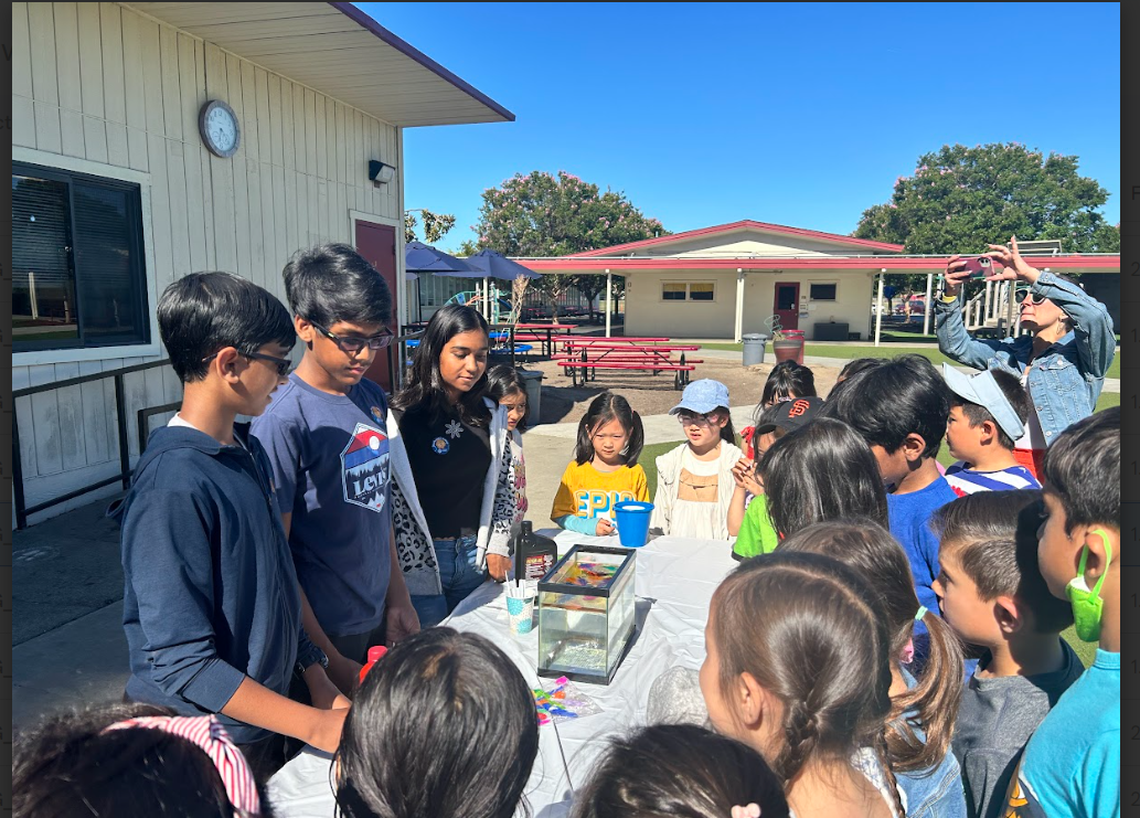 Expanding Horizons: StepSTEM Educational Program's Future Goals
